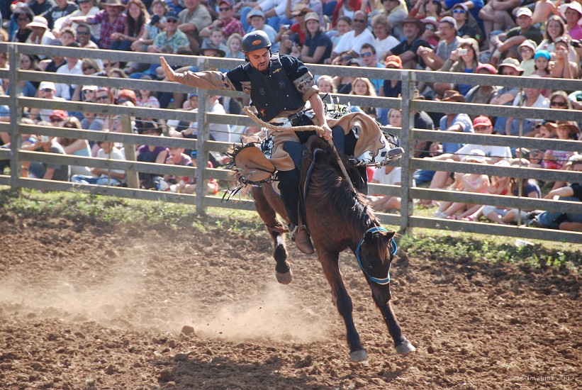 29- Rodeo.JPG